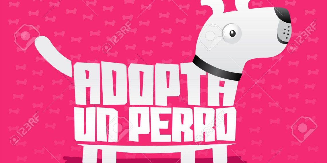 Descubre dónde encontrar centros de rescate animal en Cancún