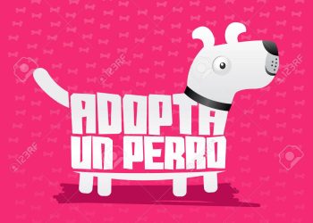 Descubre dónde encontrar centros de rescate animal en Cancún