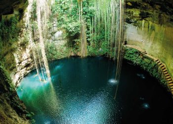 Conservación de cenotes y su importancia ecológica en Yucatán