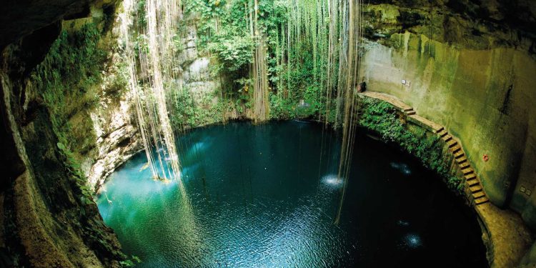 Conservación de cenotes y su importancia ecológica en Yucatán