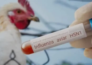Fallece niña por influenza aviar en Coahuila
