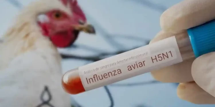 Fallece niña por influenza aviar en Coahuila