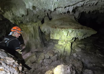 ¡Asombroso hallazgo bajo el Tren Maya! Descubren reliquia ancestral en misteriosas cavernas