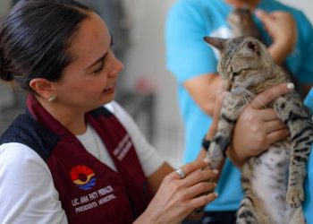 Ana Paty Peralta mantiene acciones permanente para combatir el maltrato animal