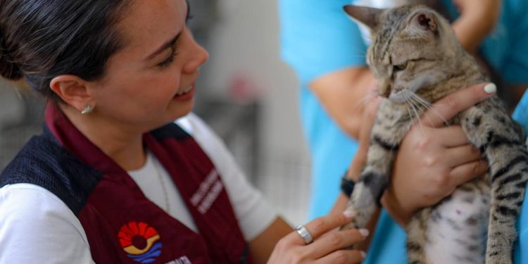 Ana Paty Peralta mantiene acciones permanente para combatir el maltrato animal