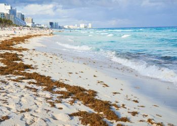 Cancun en julio 2025 Hay sargazo en las playas