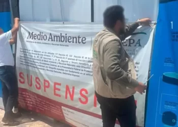 Delfinario clausurado en la Riviera Maya comienza defensa jurídica