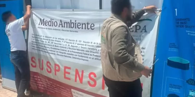 Delfinario clausurado en la Riviera Maya comienza defensa jurídica