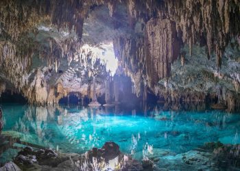 Ecoturismo en Cancún 2025: ¿cuándo viajar?