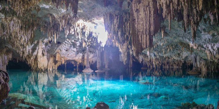 Ecoturismo en Cancún 2025: ¿cuándo viajar?