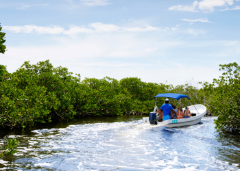 Ecoturismo en Cancún: Excursiones de un Día Desde el Centro