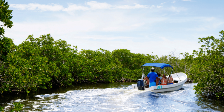 Ecoturismo en Cancún: Excursiones de un Día Desde el Centro