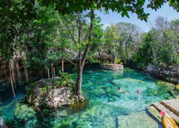 Ecoturismo en Cancún: Qué llevar para un tour ecológico