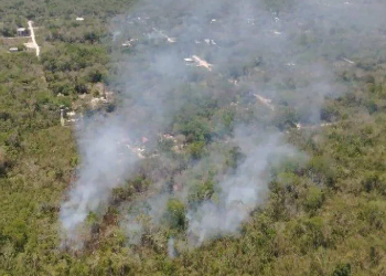 Extinguen incendio forestal tras 14 dias en Playa del Carmen