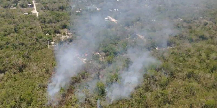 Extinguen incendio forestal tras 14 dias en Playa del Carmen