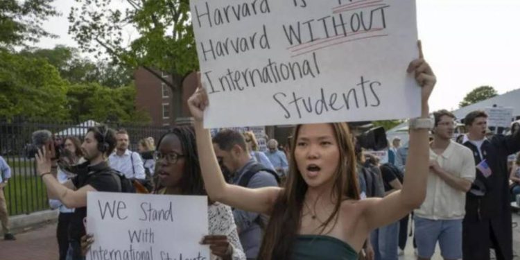Estudiantes de Harvard protestan tras cancelacion de contratos por parte del gobierno de Trump