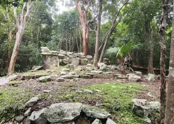 Explora las mejores rutas de senderismo en Cancún 2025