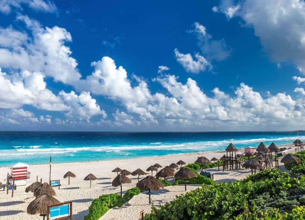 Playa delfines Antes