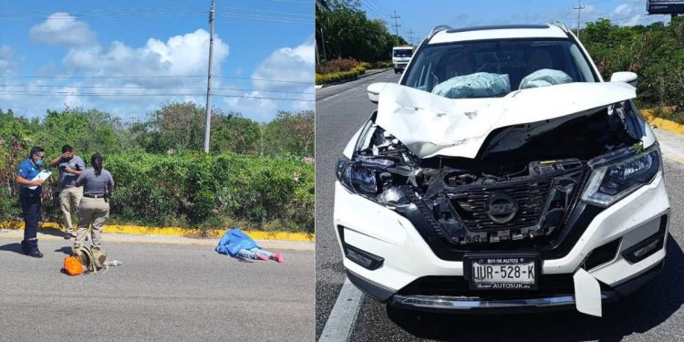 Hombre muere atropellado en la Carretera Federal 307 en Akumal