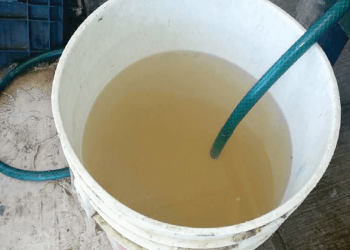 Alerta sanitaria por agua contaminada en Benito Juárez CDMX