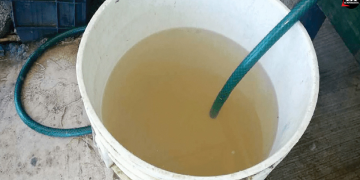 Alerta sanitaria por agua contaminada en Benito Juárez CDMX
