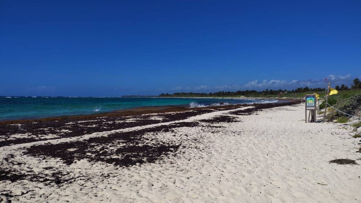 Que ubicaciones del Caribe mexicano se veran mas afectadas