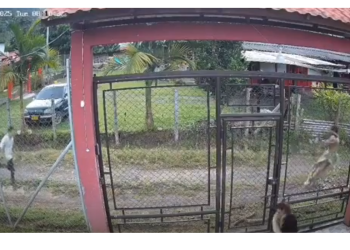 Capturan a pastor por intentar abusar de un menor en Colombia