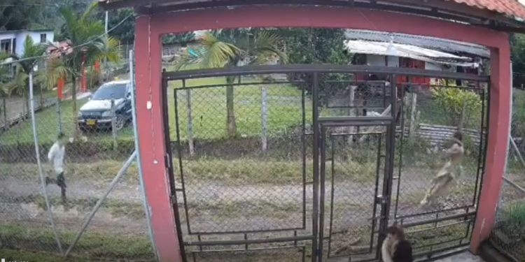 Capturan a pastor por intentar abusar de un menor en Colombia