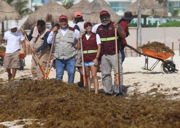 Realizan jornada de limpieza de sargazo en playa Chacmool