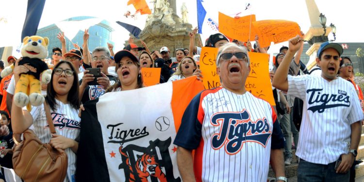Afición de los Tigres: historias y tradiciones locales