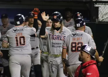 Cómo apoyar a los Tigres de Quintana Roo como aficionado local