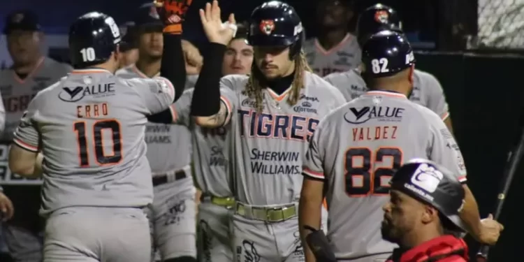 Cómo apoyar a los Tigres de Quintana Roo como aficionado local