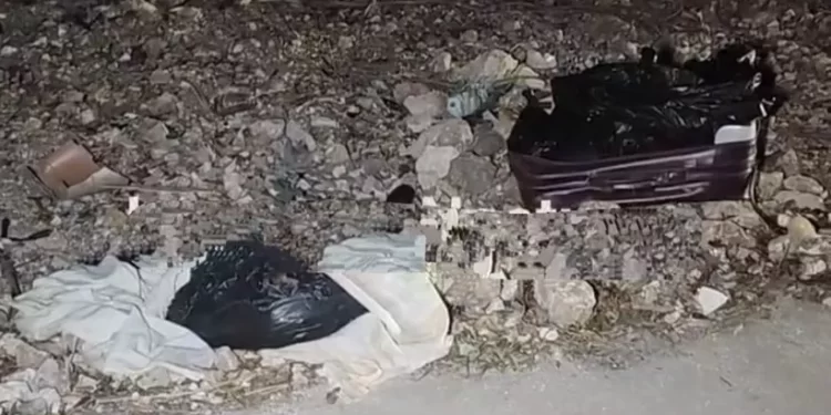 Hallazgo macabro en la Supermanzana 260 de Cancún: dos descuartizados en maleta y bolsas