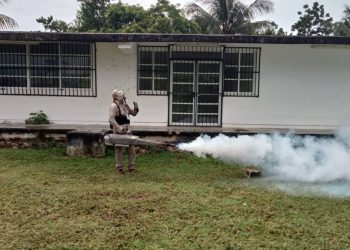 Municipio de Cancun 2025 fumigacion contra dengue 2025 todo lo que debes saber