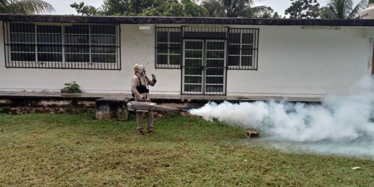 Municipio de Cancun 2025 fumigacion contra dengue 2025 todo lo que debes saber