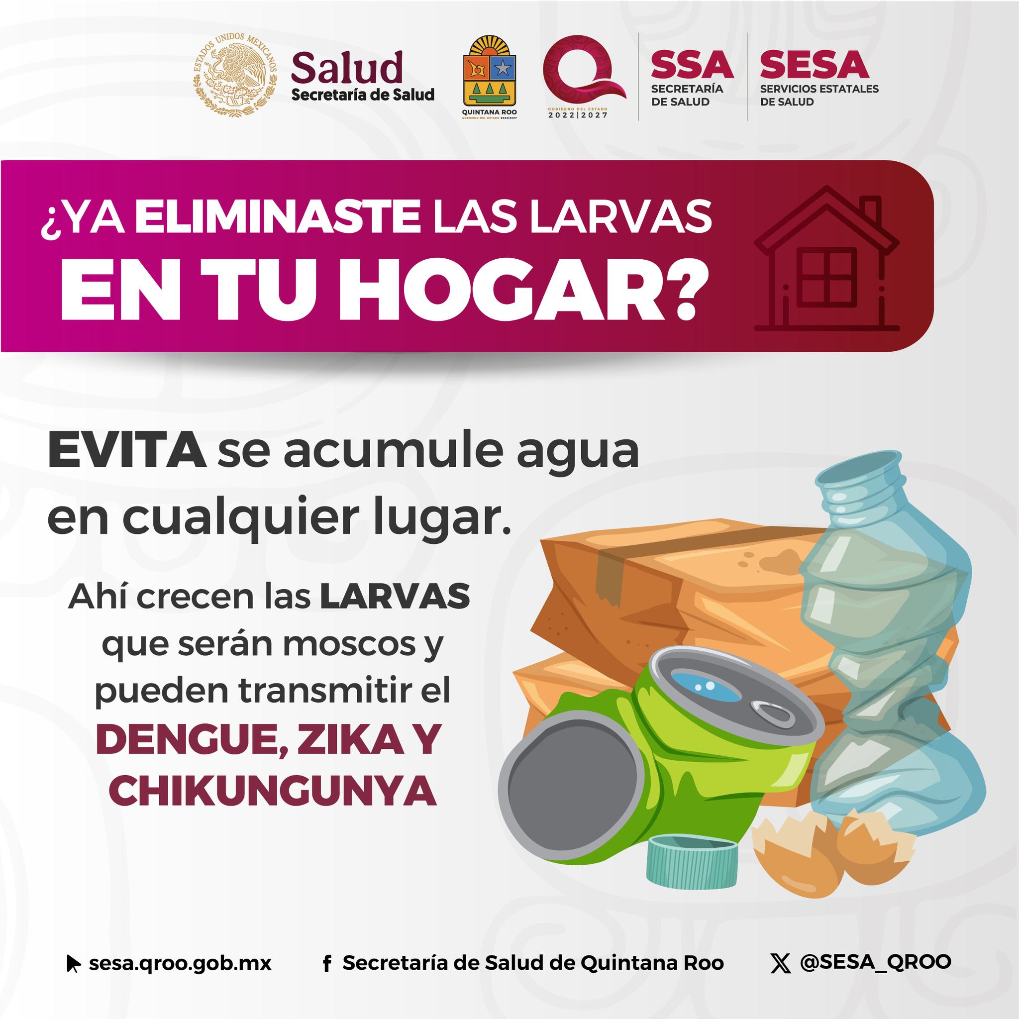Municipio de Cancun 2025 fumigacion contra dengue 2025