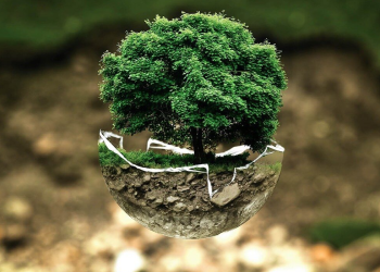 Día Mundial del Medio Ambiente