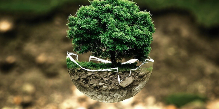 Día Mundial del Medio Ambiente