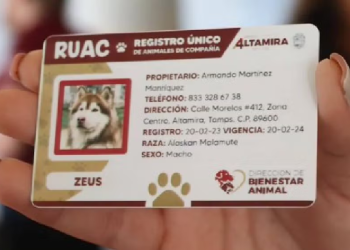 CURP para mascotas
