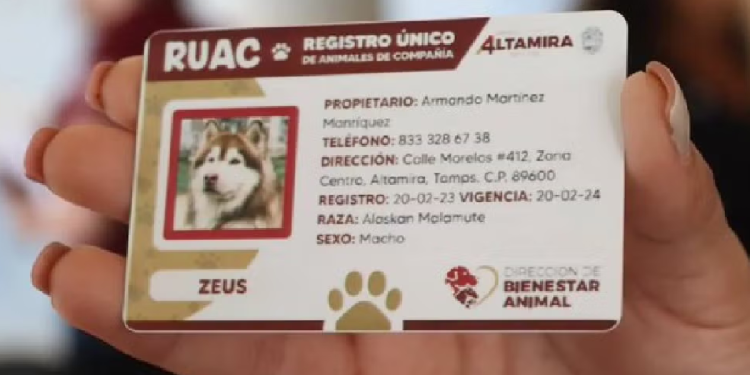 CURP para mascotas