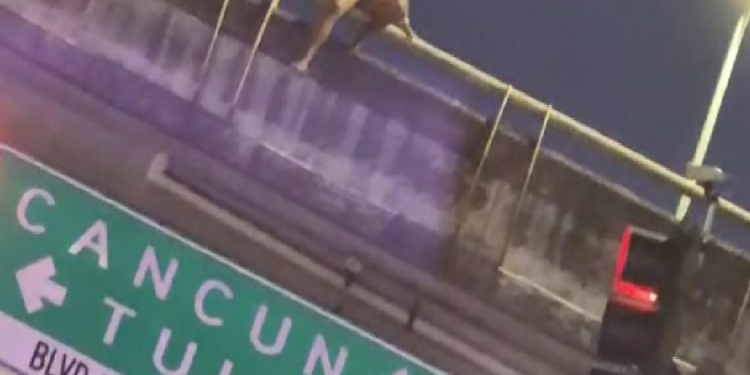 Intento de suicidio en Playa del Carmen