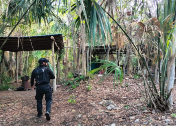 Oficial de la Secretaria de Seguridad Ciudadana en el narco laboratorio en Felipe Carrillo Puerto
