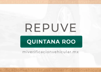 Diagrama explicativo del proceso de consulta en el REPUVE