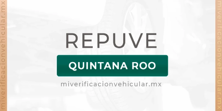 Diagrama explicativo del proceso de consulta en el REPUVE