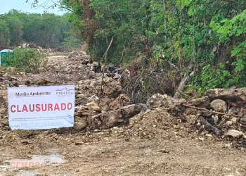 Sello de clausura colocado en zona selvática de Playa del Carmen