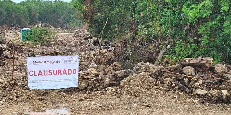 Sello de clausura colocado en zona selvática de Playa del Carmen