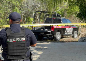 Elementos de la SSC en la Región 243 Cancún, trabajando en el lugar del hallazgo