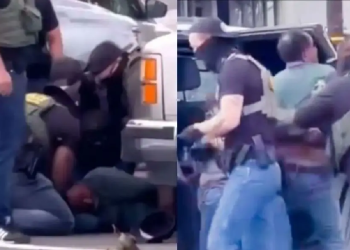 Golpiza a jardinero mexicano por agentes de Estados Unidos