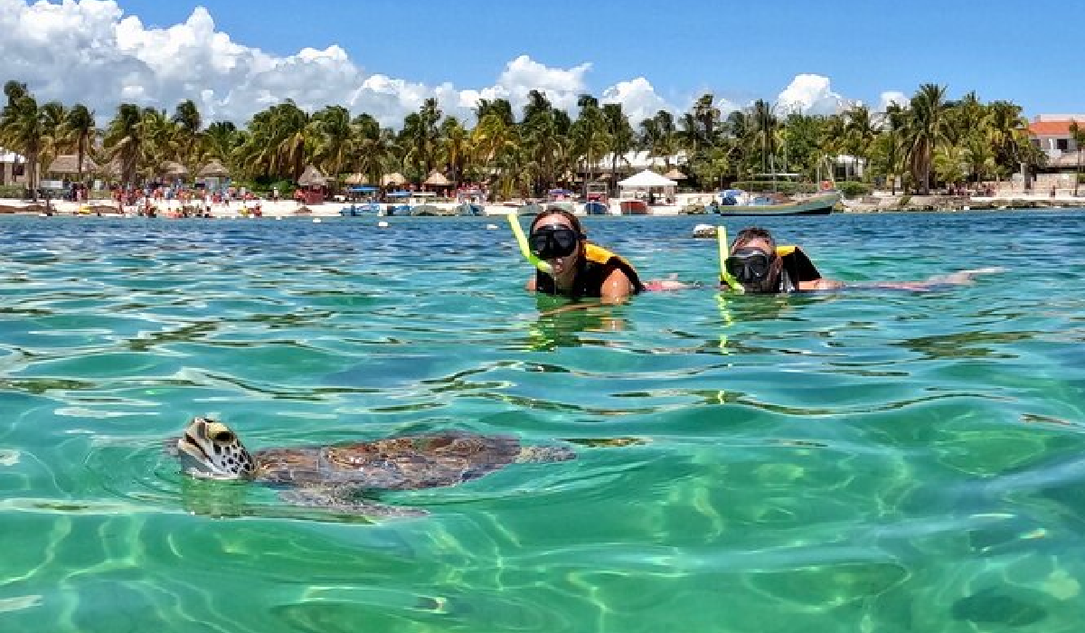 Niño nadando con tortugas en Akumal, Cancún