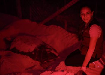 Ana Paty Peralta supervisó el corral de Tortugas Marinas instalado en Playa Delfines